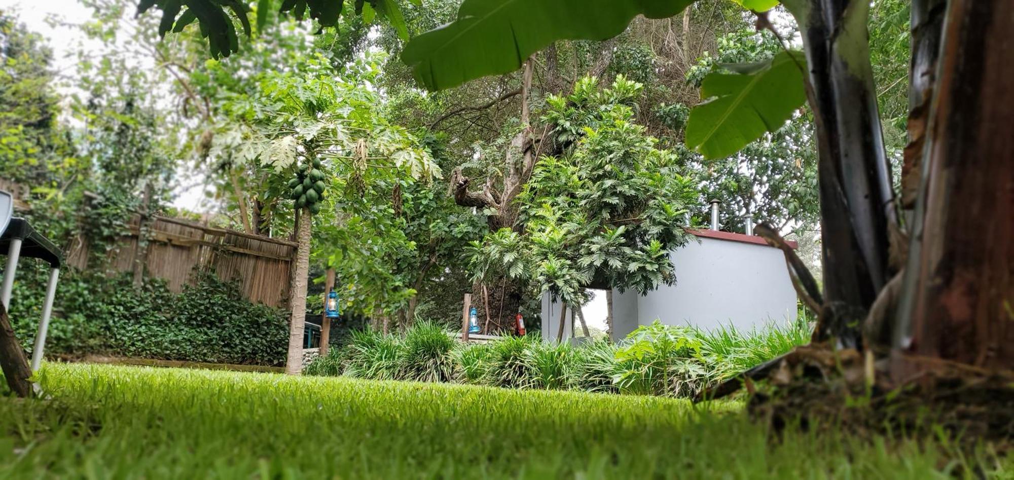 Kizumba House Hostel Arusha Ngoại thất bức ảnh